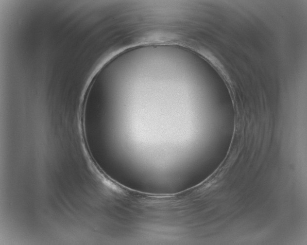 X0000072921486200608041137