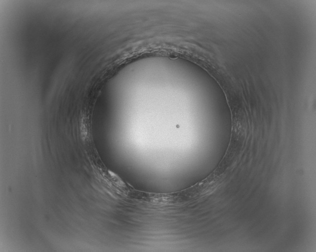 X0000072921490200608041136