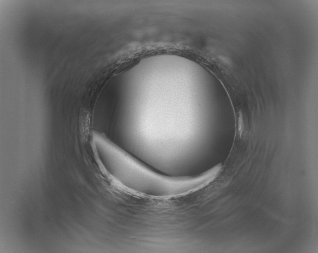 X0000072921492200608041136