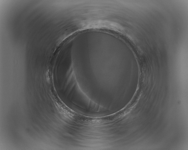 X0000072921497200608041136