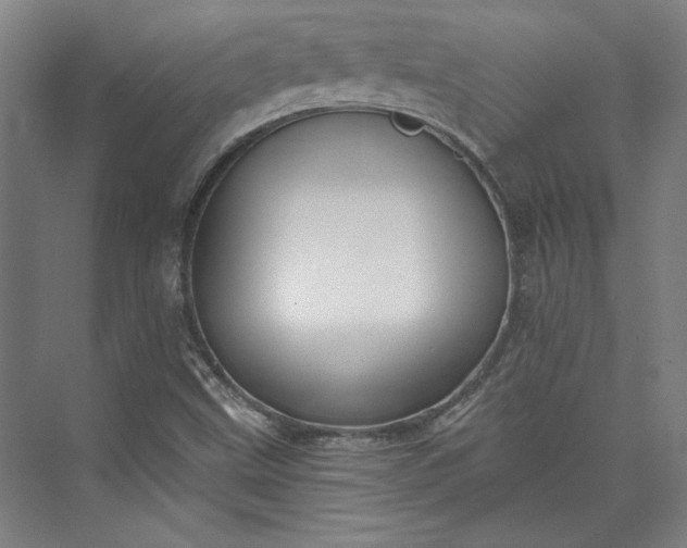 X0000072921499200608041136
