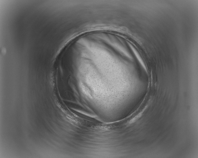 X0000072921501200608041136