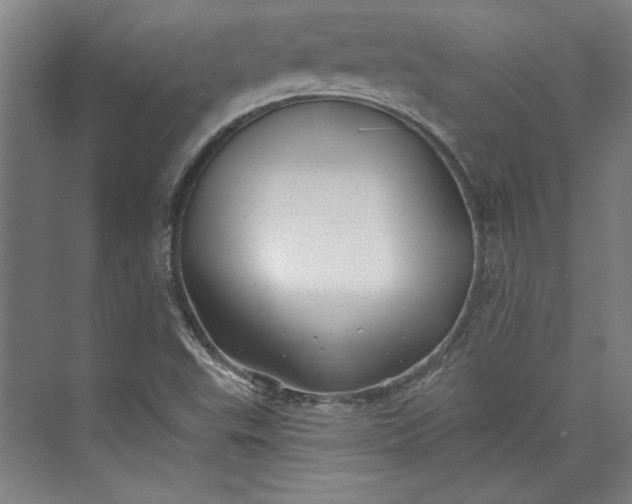 X0000072921503200608041136