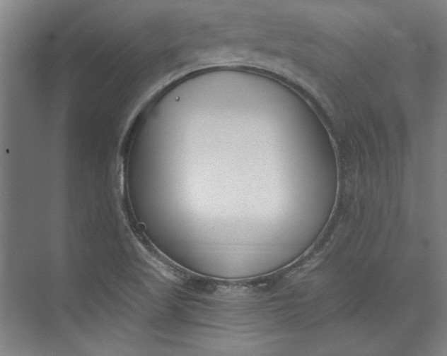 X0000072921509200608041137
