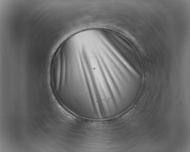X0000072921512200608041137