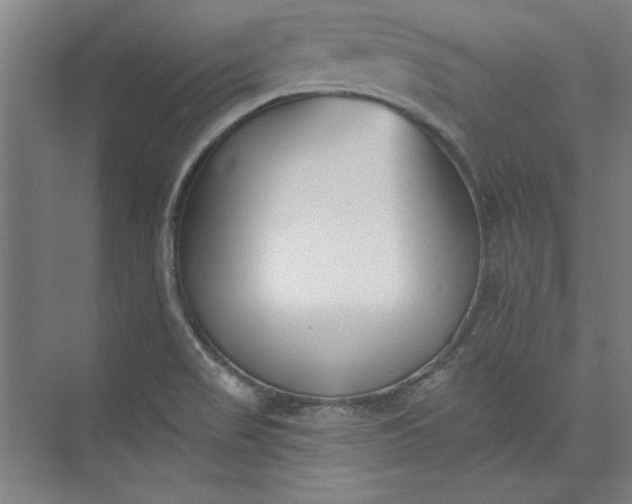 X0000072921517200608041137