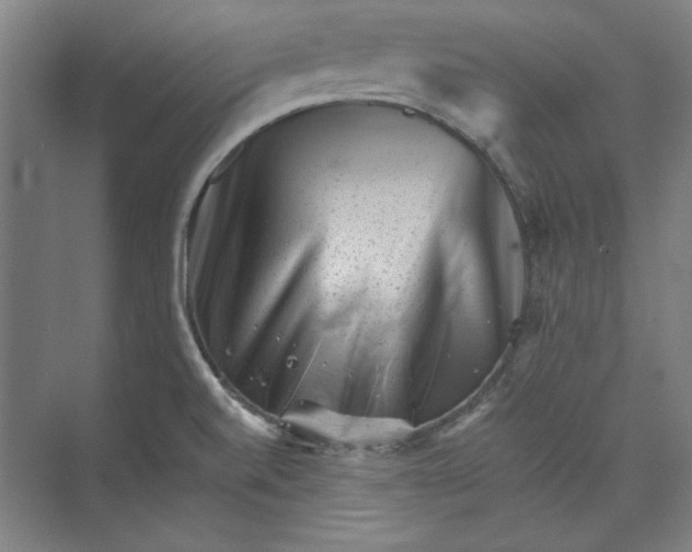 X0000072921520200608041137