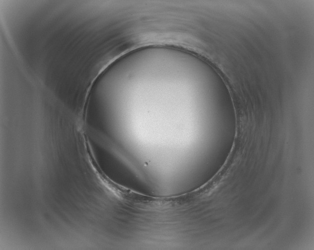 X0000072921521200608041137
