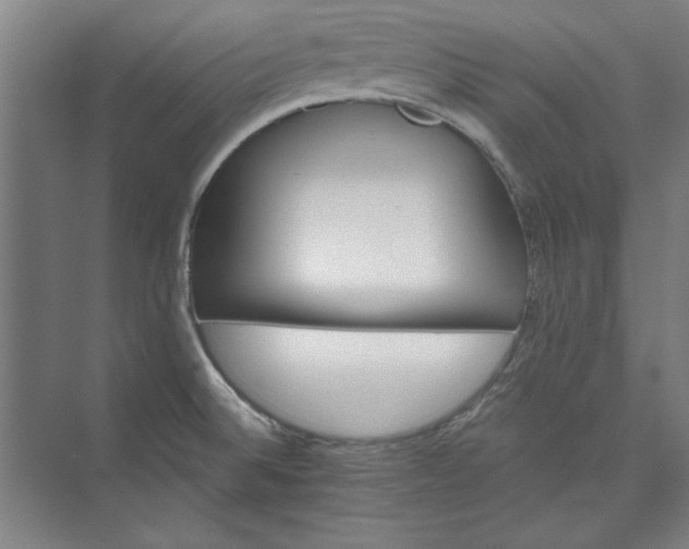 X0000072921524200608041137