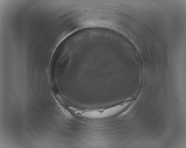X0000072921529200608041137