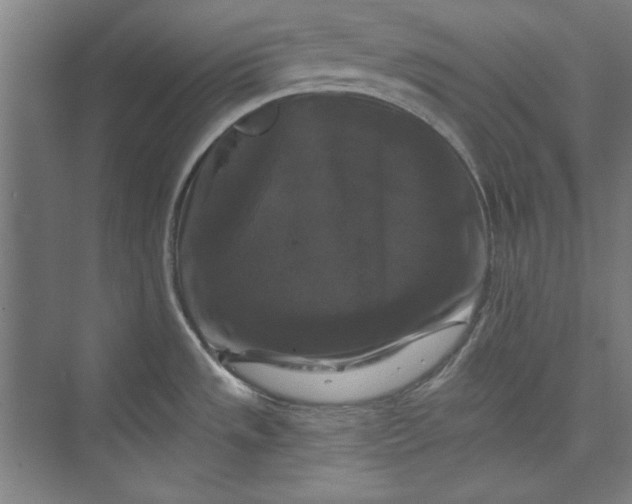 X0000072921533200608041137