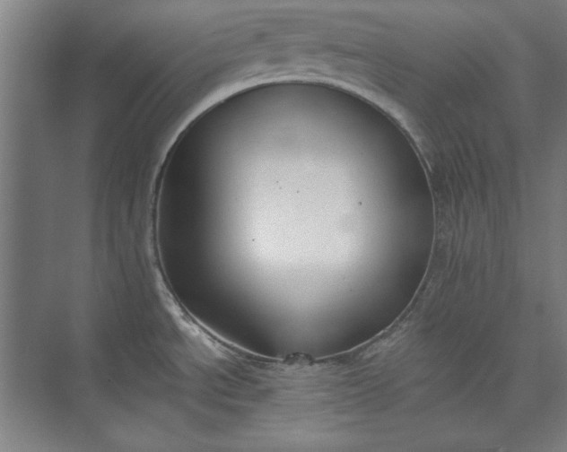 X0000072921534200608041137