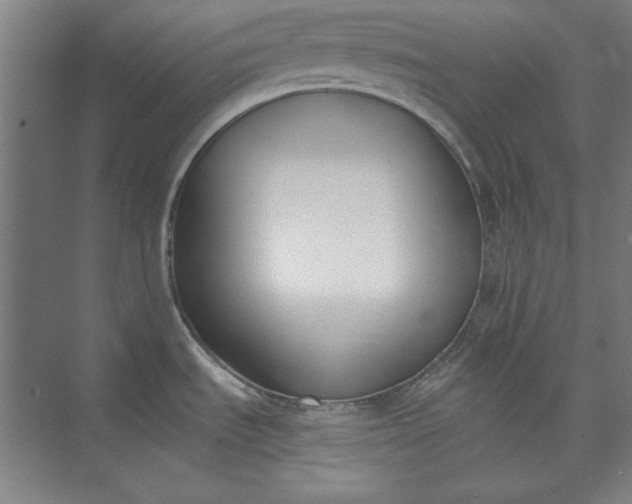X0000072921535200608041137