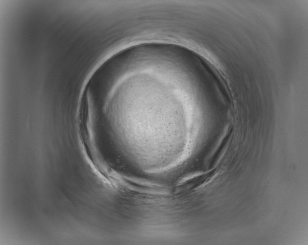 X0000072921536200608041137