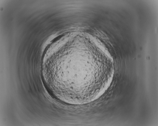 X0000072920003200608111522