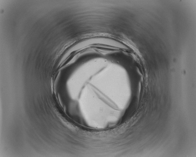 X0000072920013200608111522