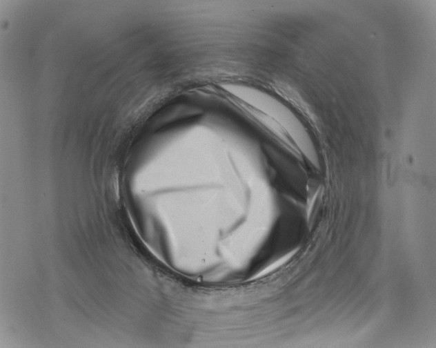 X0000072920021200608111521