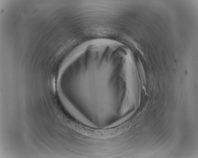 X0000072920027200608111521