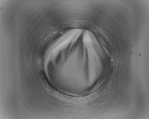 X0000072920031200608111521