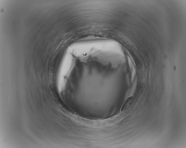 X0000072920035200608111521