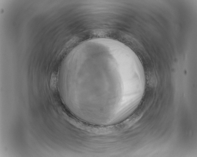 X0000072920036200608111521
