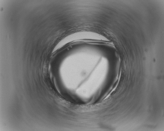 X0000072920037200608111521