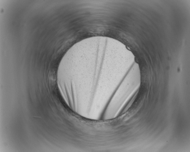 X0000072920040200608111521