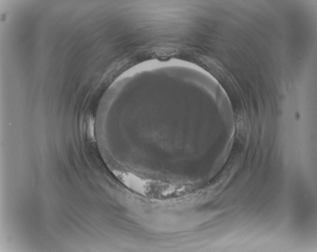 X0000072920046200608111521