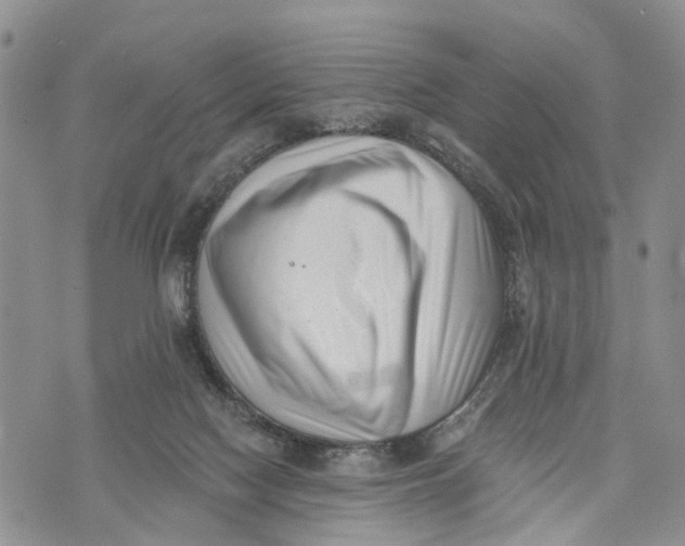 X0000072920074200608111521