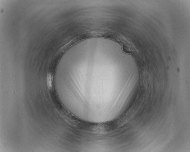 X0000072920075200608111521