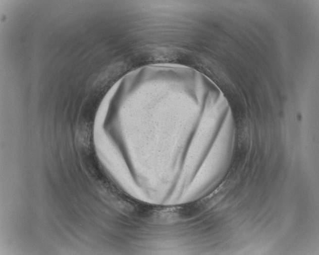 X0000072920078200608111521