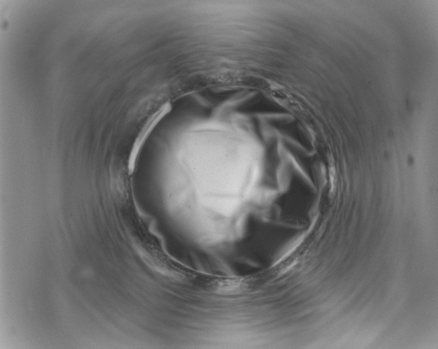 X0000072920088200608111521