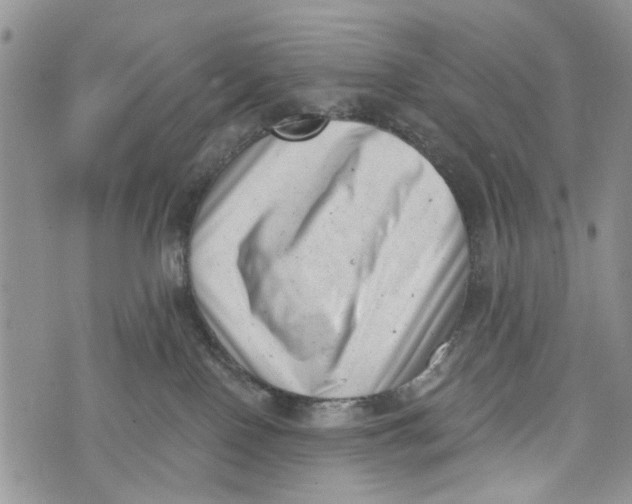 X0000072920090200608111521