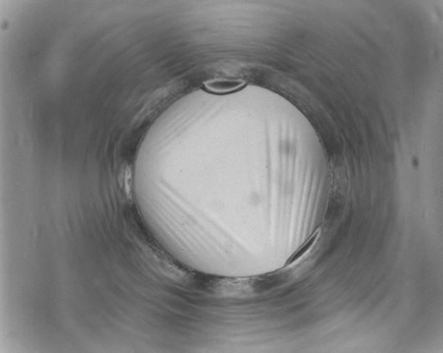 X0000072920094200608111521