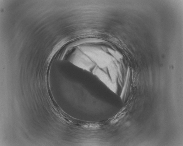 X0000072920099200608111520