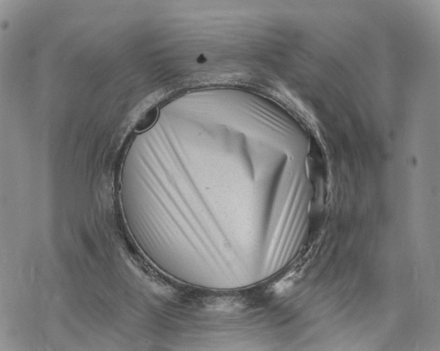 X0000072920107200608111520