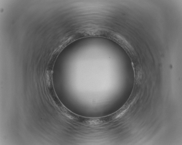 X0000072920121200608111520