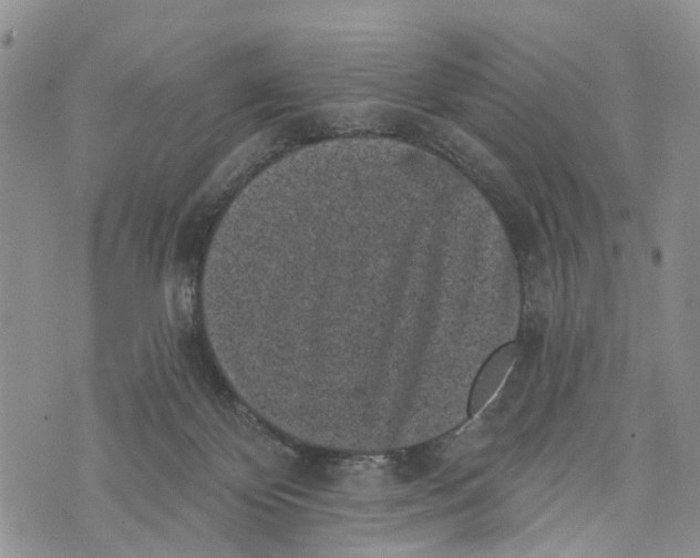 X0000072920124200608111520