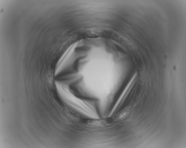 X0000072920129200608111520
