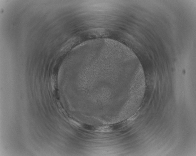 X0000072920132200608111520