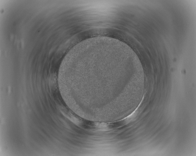X0000072920144200608111519