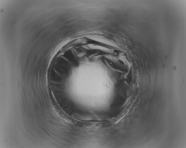 X0000072920148200608111519