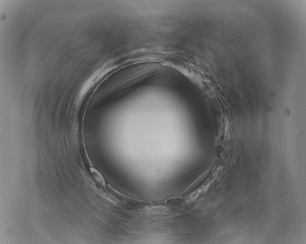 X0000072920150200608111519