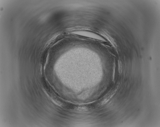 X0000072920157200608111519