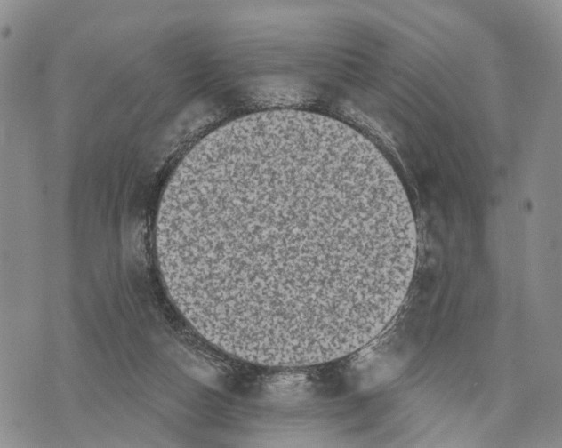 X0000072920162200608111519