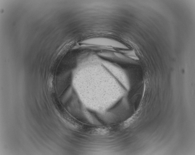 X0000072920166200608111519