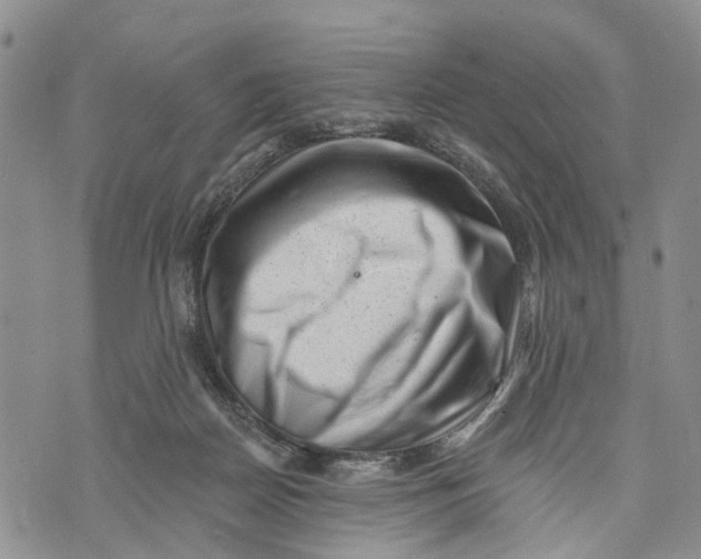 X0000072920170200608111519