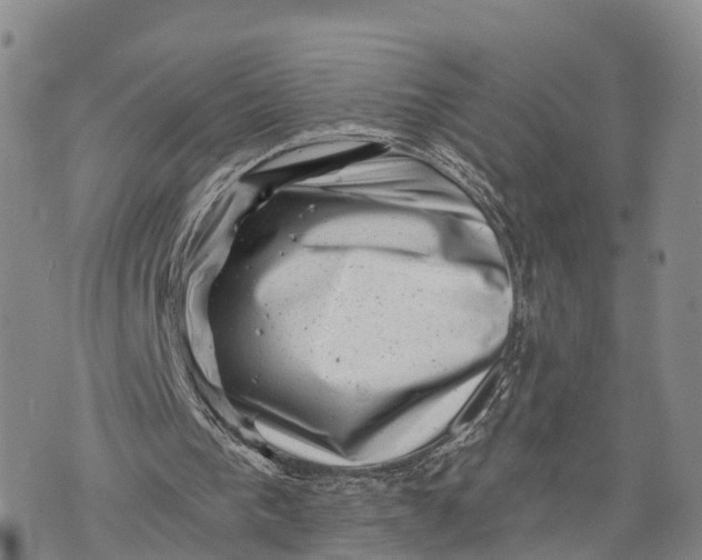 X0000072920193200608111519