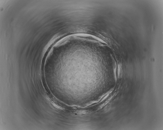 X0000072920195200608111519