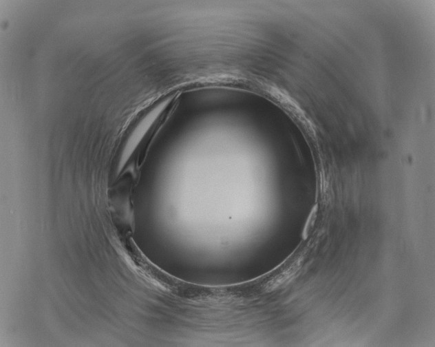 X0000072920201200608111519